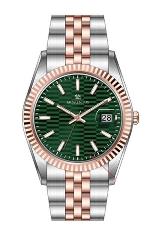 CW138T-15SR Kadın Kol Saati