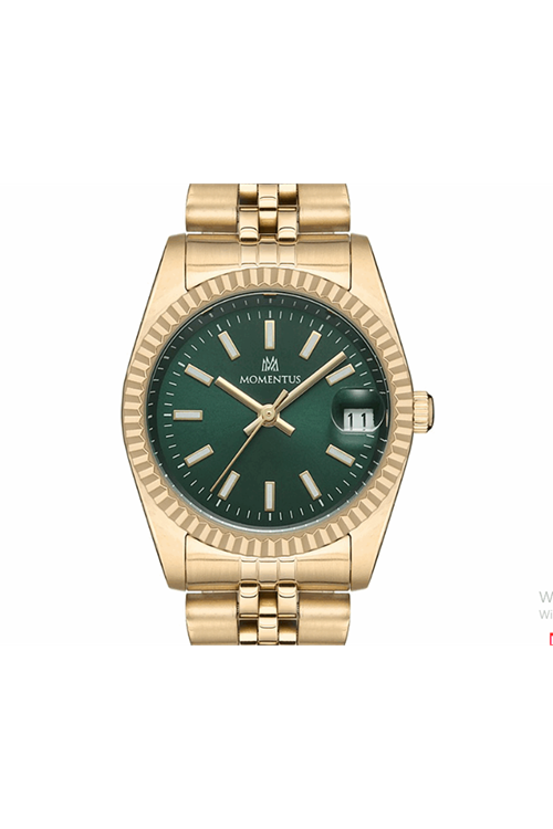 CW132G-15SG Kadın Kol Saati