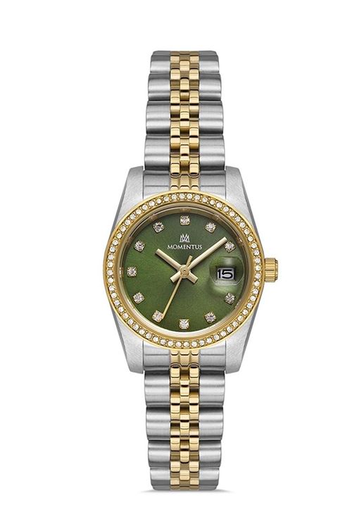 SW135T-15SG Kadın Kol Saati